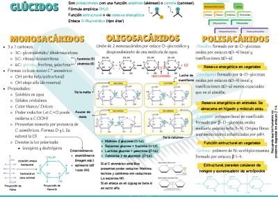 Esquema glúcidos PAU y PCE