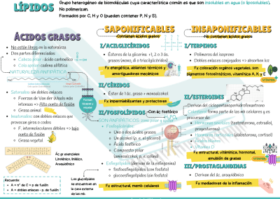 Esquema lípidos PAU y PCE