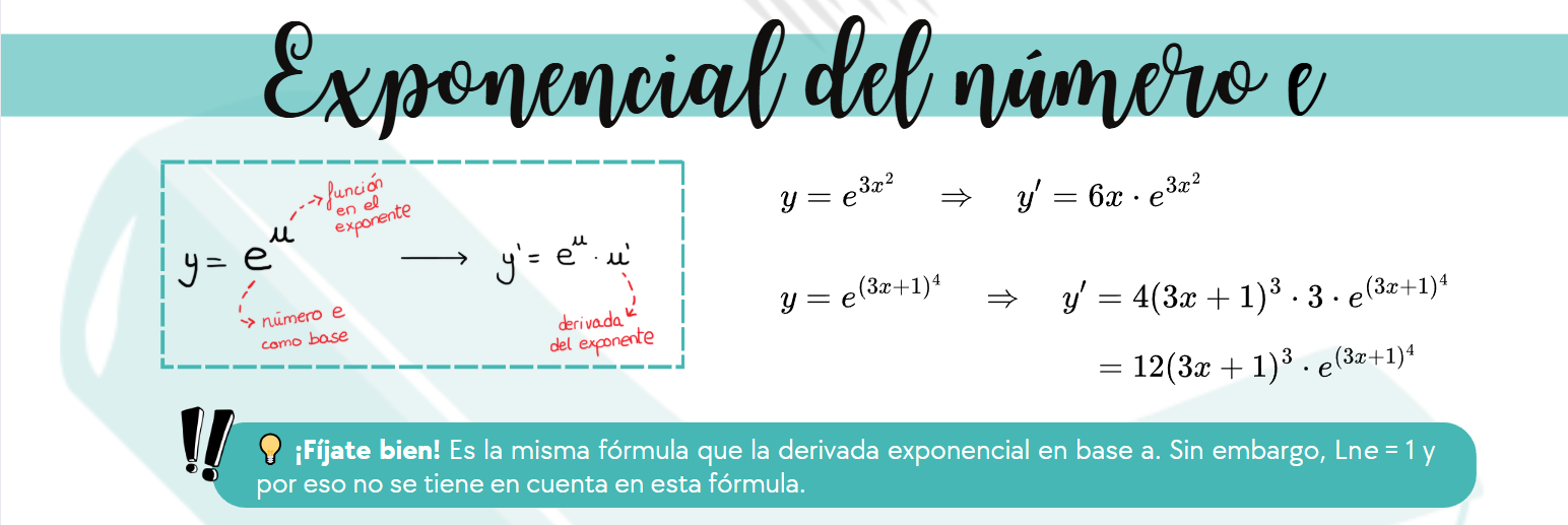 Esquema visual de derivadas de exponenciales en base e