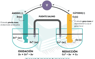 Redox para PAU y PCE: Resumen, Trucos y Ajuste