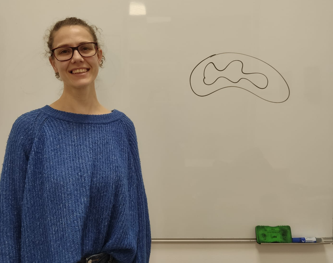 Elena Bellver Sanchis