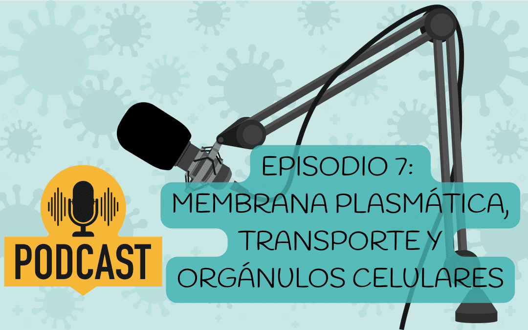 Podcast de Biología para selectividad– Episodio 7: membrana plasmática, transporte y orgánulos celulares