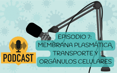 Podcast de Biología para selectividad– Episodio 7: membrana plasmática, transporte y orgánulos celulares
