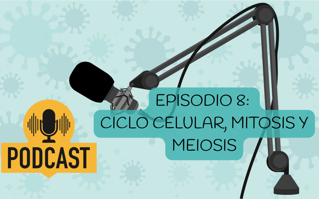 Podcast de Biología para selectividad– Episodio 8: El ciclo celular