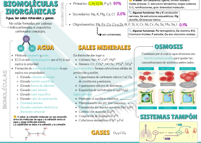 Esquema agua y sales minerales exámenes PAU y PCE
