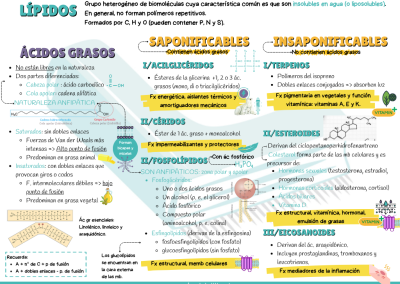 Esquema/resumen lípidos PAU y PCE
